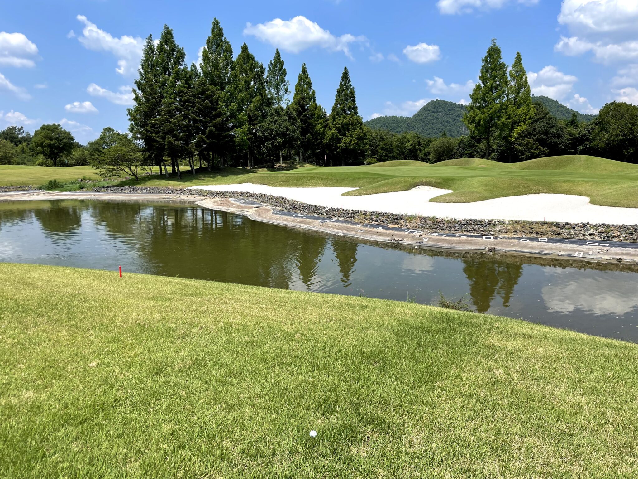 当時のメディア報道・掲載写真